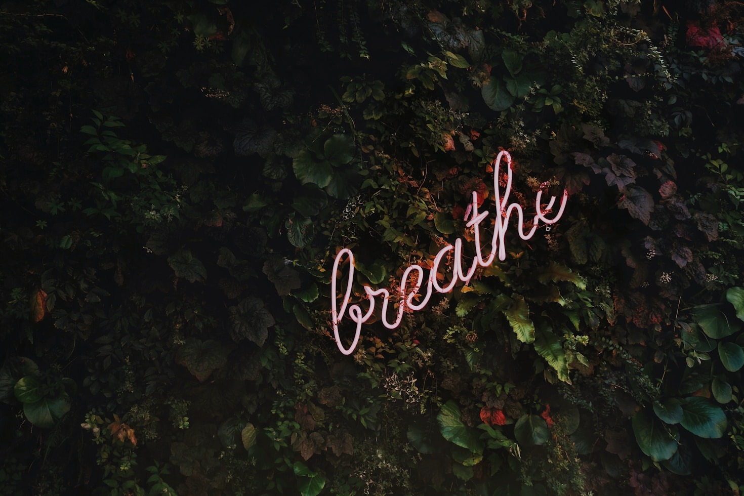 The Art of Aligning with Your Life’s Purpose